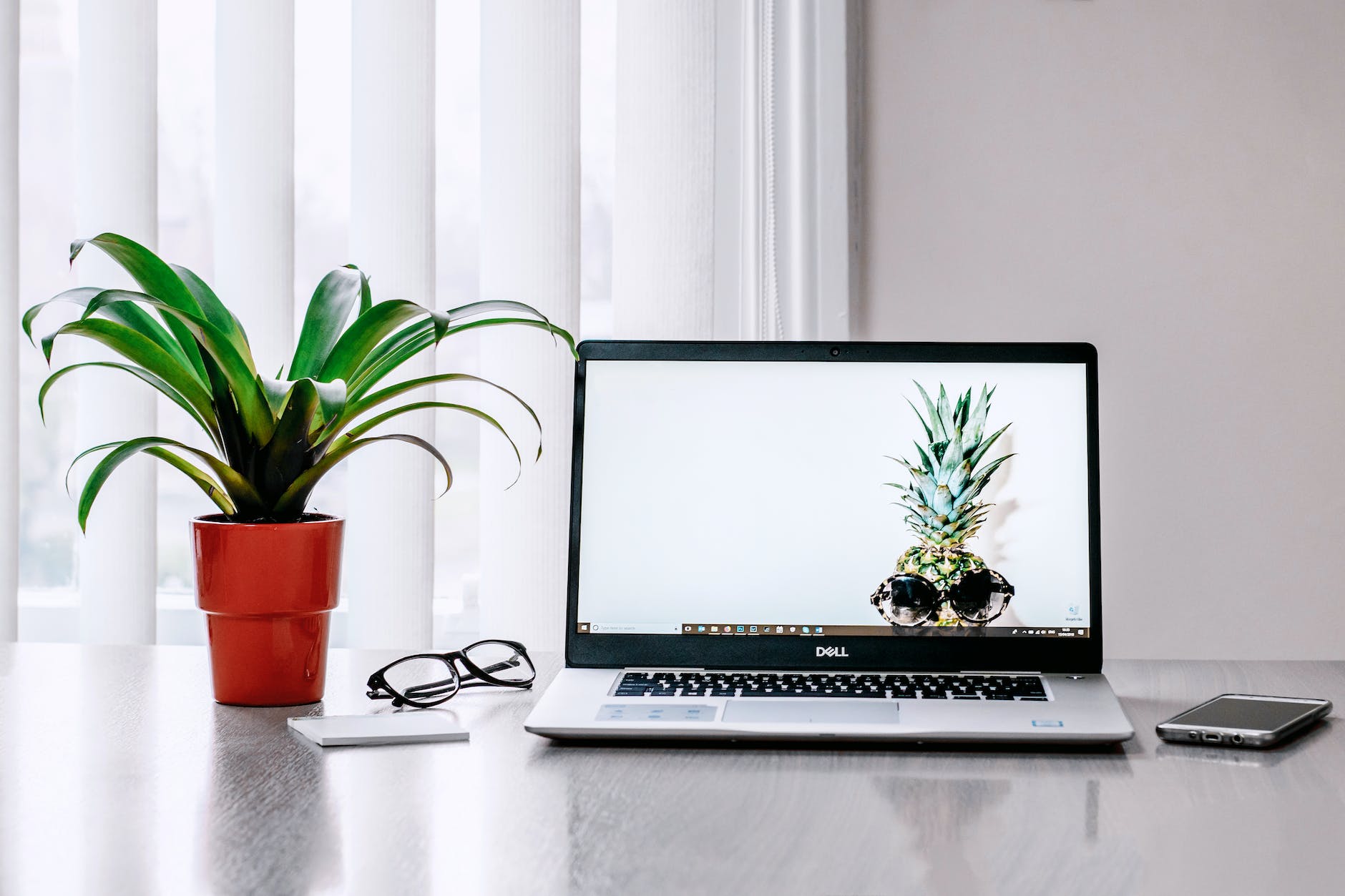 photo of laptop near plant